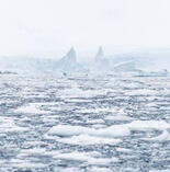 dance of chase (atla universe)